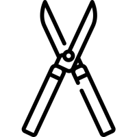 Taille de haie